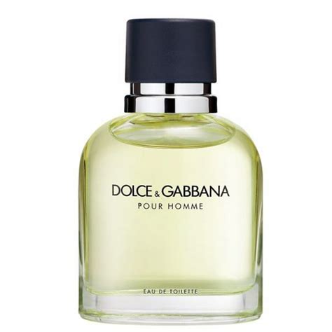 dolce gabbana pour homme preisvergleich|dolce gabbana parfum pour homme.